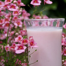 Indlæs billede til gallerivisning Jordbær Shake